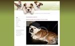 bezoek deze website